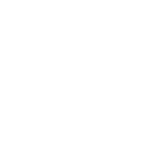 A green background with the ace hardware logo.